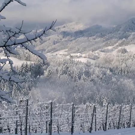 Gaestehaus Dworschak Apartament