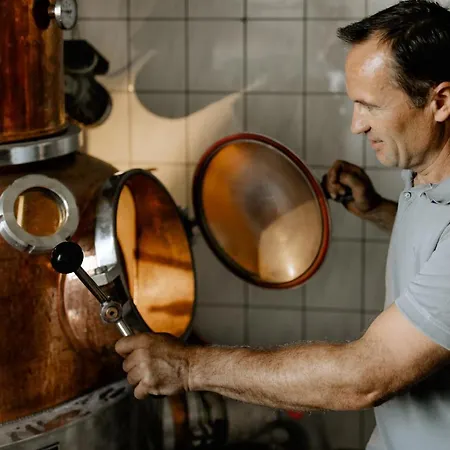 Apartament Gaestehaus Dworschak