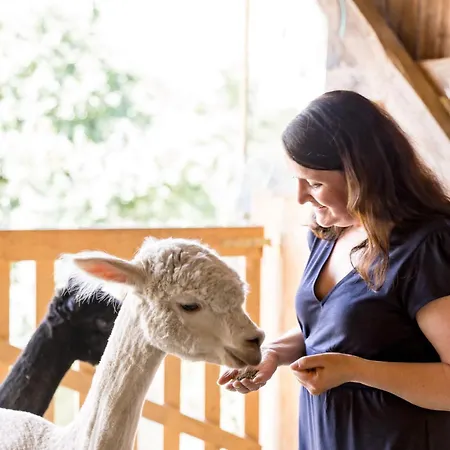 Gaestehaus Dworschak *