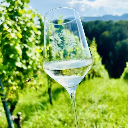 Apartament Gaestehaus Dworschak Leutschach