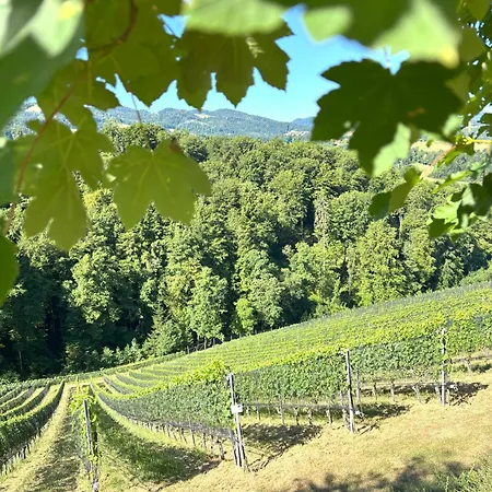 Gaestehaus Dworschak Apartament Leutschach