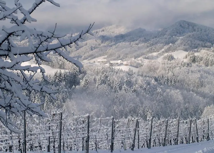 Gaestehaus Dworschak شقة