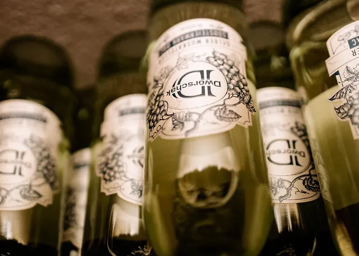 Gaestehaus Dworschak ليوتسشاخ