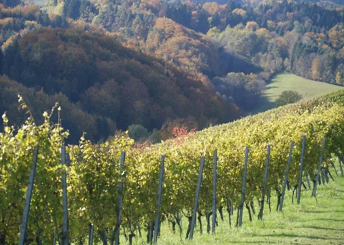 Gaestehaus Dworschak شقة