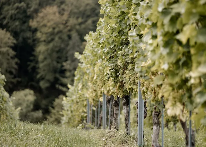 Gaestehaus Dworschak * ليوتسشاخ