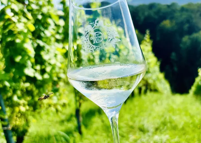 شقة Gaestehaus Dworschak ليوتسشاخ