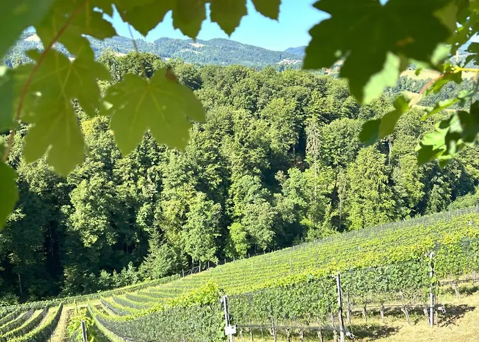 Gaestehaus Dworschak شقة ليوتسشاخ